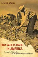 Cómo se fabrica la raza en América, 38: Inmigración, ciudadanía y el poder histórico de los guiones raciales - How Race Is Made in America, 38: Immigration, Citizenship, and the Historical Power of Racial Scripts