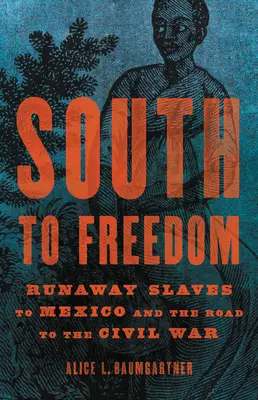 Del sur a la libertad: Esclavos fugitivos a México y el camino a la Guerra Civil - South to Freedom: Runaway Slaves to Mexico and the Road to the Civil War