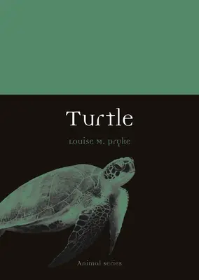 Tortuga - Turtle