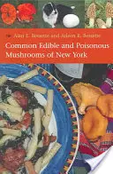 Setas comestibles y venenosas de Nueva York - Common Edible and Poisonous Mushrooms of New York