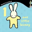 1 Conejito - Amazing Baby - 1 Little Bunny - Amazing Baby