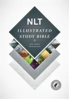 Biblia de estudio ilustrada-NLT - Illustrated Study Bible-NLT