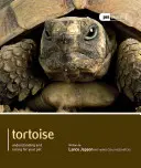 Tortuga - Tortoise