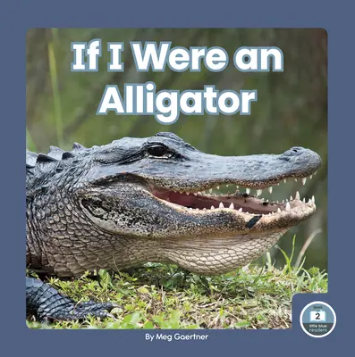 Si yo fuera un caimán - If I Were an Alligator