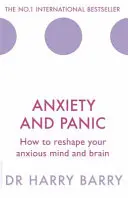 Ansiedad y pánico: cómo remodelar su mente y cerebro ansiosos - Anxiety and Panic: How to Reshape Your Anxious Mind and Brain