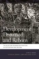 Desarrollo ahogado y renacido: Las restauraciones del blues y el bourbon en Nueva Orleans tras el huracán Katrina - Development Drowned and Reborn: The Blues and Bourbon Restorations in Post-Katrina New Orleans