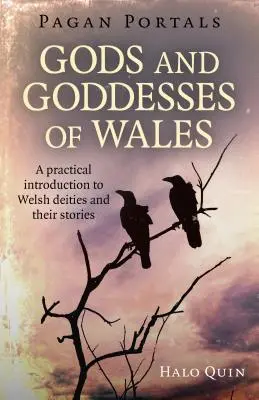 Pagan Portals - Dioses y Diosas de Gales: Una Introducción Práctica a las Deidades Galesas y sus Historias - Pagan Portals - Gods and Goddesses of Wales: A Practical Introduction to Welsh Deities and Their Stories