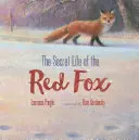 La Vida Secreta del Zorro Rojo - The Secret Life of the Red Fox