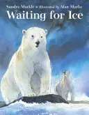 Esperando el hielo - Waiting for Ice