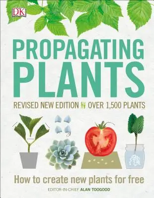 Propagación de plantas: Cómo crear nuevas plantas de forma gratuita - Propagating Plants: How to Create New Plants for Free