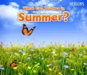 ¿Qué se puede ver en verano? - What Can You See In Summer?