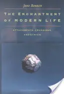 El encanto de la vida moderna: Vínculos, cruces y ética - The Enchantment of Modern Life: Attachments, Crossings, and Ethics