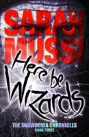 Here be Wizards - Las crónicas de Snowdonia: Libro tercero - Here be Wizards - The Snowdonia Chronicles: Book Three