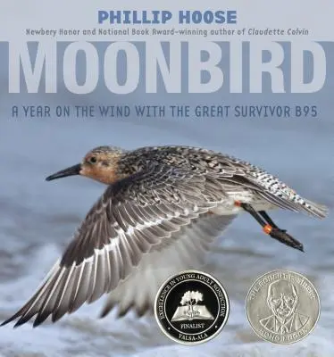 Moonbird: Un año en el viento con el gran superviviente B95 - Moonbird: A Year on the Wind with the Great Survivor B95