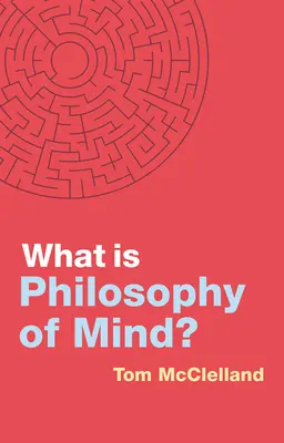 ¿Qué es la filosofía de la mente? - What Is Philosophy of Mind?