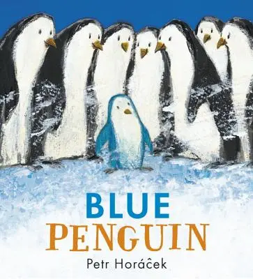 Pingüino azul - Blue Penguin