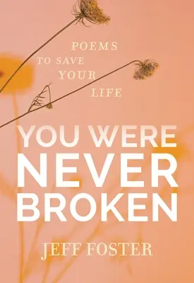 Nunca estuviste roto: Poemas para salvar tu vida - You Were Never Broken: Poems to Save Your Life