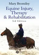 Lesiones, terapia y rehabilitación equinas - Equine Injury, Therapy and Rehabilitation