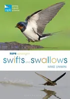 RSPB Spotlight Vencejos y Golondrinas - RSPB Spotlight Swifts and Swallows
