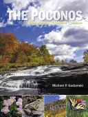 Los Poconos: El tesoro montañoso de Pensilvania - The Poconos: Pennsylvania's Mountain Treasure
