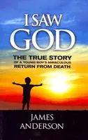 Vi a Dios: La historia real del milagroso regreso de un niño de la muerte - I Saw God: The True Story of a Young Boy's Miraculous Return from Death