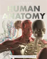 Anatomía humana ilustrada: La guía visual autorizada del cuerpo humano - Illustrated Human Anatomy: The Authoritative Visual Guide to the Human Body