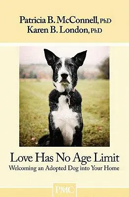 El amor no tiene límite de edad: acoger en casa a un perro adoptado - Love Has No Age Limit: Welcoming an Adopted Dog Into Your Home