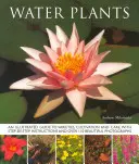 Plantas acuáticas - Guía ilustrada de variedades, cultivo y cuidados, con instrucciones paso a paso y más de 110 hermosas fotografías - Water Plants - An Illustrated Guide to Varieties, Cultivation and Care, with Step-by-step Instructions and Over 110 Beautiful Photographs