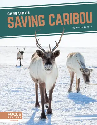 Salvar al caribú - Saving Caribou