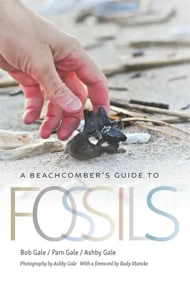 Guía del playero sobre fósiles - A Beachcomber's Guide to Fossils