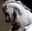 El caballo árabe de Egipto - The Arabian Horse of Egypt