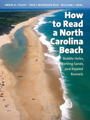 Cómo leer una playa de Carolina del Norte: Agujeros de burbujas, arenas que ladran y rampas onduladas - How to Read a North Carolina Beach: Bubble Holes, Barking Sands, and Rippled Runnels