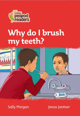 Nivel 5 - ¿Por qué me lavo los dientes? - Level 5 - Why do I brush my teeth?