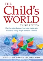 El mundo del niño, tercera edición: Guía esencial para la evaluación de niños, jóvenes y familias vulnerables - The Child's World, Third Edition: The Essential Guide to Assessing Vulnerable Children, Young People and Their Families