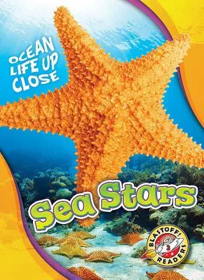 Estrellas de mar - Sea Stars