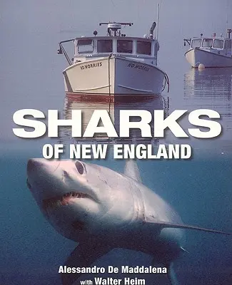 Tiburones de Nueva Inglaterra - Sharks of New England