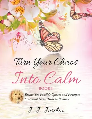 Convierte tu caos en calma - Turn Your Chaos Into Calm