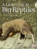 Bug Club Guided No Ficción Año 1 Azul B Una Pequeña Mirada a los Grandes Reptiles - Bug Club Guided Non Fiction Year 1 Blue B A Little Look at Big Reptiles