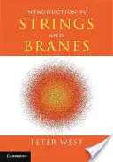 Introducción a las cuerdas y ramas - Introduction to Strings and Branes