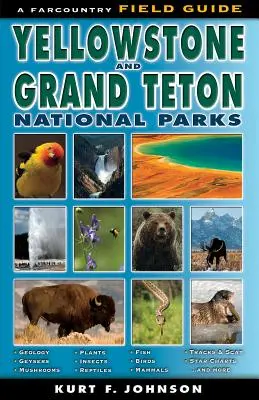 Guía de campo de los parques nacionales de Yellowstone y Grand Teton - The Field Guide to Yellowstone and Grand Teton National Parks