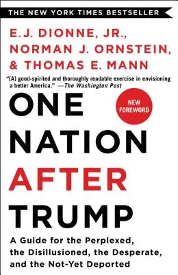 Una nación después de Trump: Una guía para los perplejos, los desilusionados, los desesperados y los que aún no han sido deportados - One Nation After Trump: A Guide for the Perplexed, the Disillusioned, the Desperate, and the Not-Yet Deported