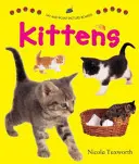 Tableros de imágenes para decir y señalar: Gatitos - Say and Point Picture Boards: Kittens