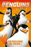 Pingüinos de Madagascar - Pingüinos en peligro - Penguins of Madagascar - Penguins in Peril