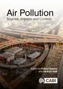 Contaminación atmosférica: Fuentes, impactos y controles - Air Pollution: Sources, Impacts and Controls