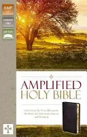 Amplificada-Am: Captura todo el significado del original griego y hebreo. - Amplified-Am: Captures the Full Meaning Behind the Original Greek and Hebrew