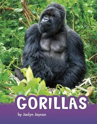 Gorilas - Gorillas