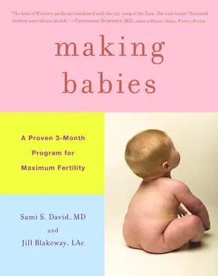 Hacer bebés: Un programa probado de 3 meses para la máxima fertilidad - Making Babies: A Proven 3-Month Program for Maximum Fertility