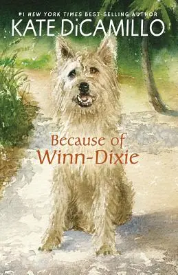 A causa de Winn-Dixie - Because of Winn-Dixie