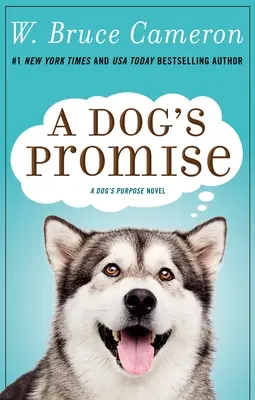 La promesa de un perro - A Dog's Promise