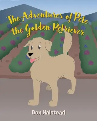 Las aventuras de Pete el Golden Retriever - The Adventures of Pete the Golden Retriever